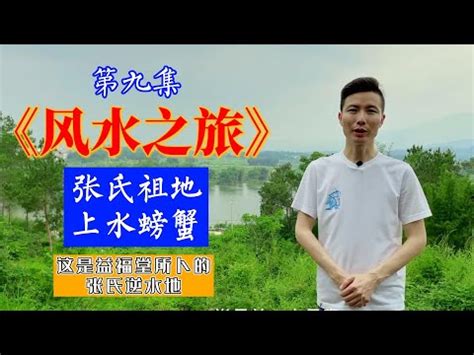 螃蟹 風水|【螃蟹風水】搶佔財運寶座！螃蟹風水幫你橫財進、步步高昇